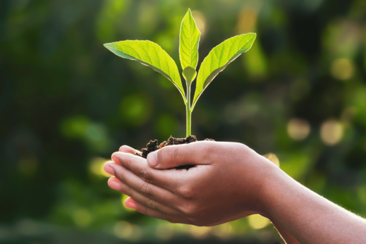 EKO drogerie: Ekologická volba pro domácnost i přírodu