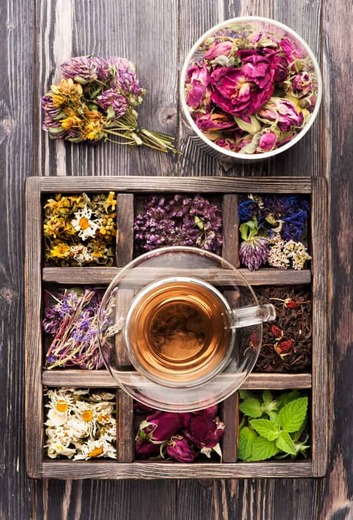 Bylinky vhodné na játra: Cesta k detoxikaci a regeneraci