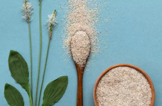 Psyllium: Přírodní vláknina pro zdravé trávení i štíhlou linii