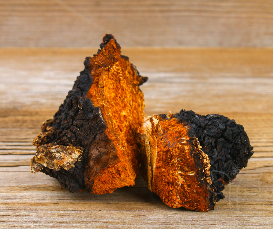 doplnky-stravy-chaga