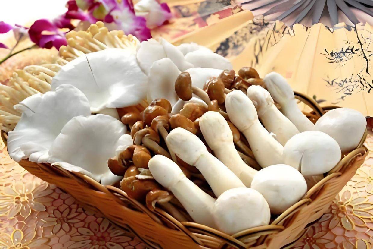 doplnky-stravy-cinske-houby